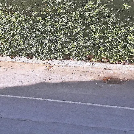 Apartament Patio Fleuri *