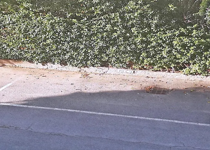 Apartament Patio Fleuri *